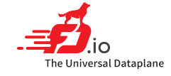 FDio - The Universal Dataplane Logo